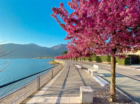 Lake Iseo in two days - Visit Lake Iseo Portale Ufficiale turismo Lago ...