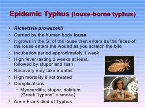 Understanding Louse-borne Typhus: Causes And Symptoms - Ask The Nurse ...