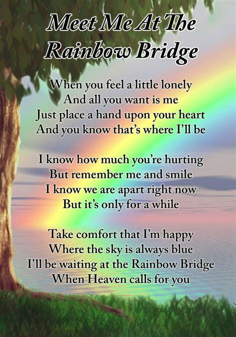 Buy Lisa's Gifts Meet Me at The Rainbow Bridge Dog Pet Memorial Graveside Funeral Poem Keepsake ...