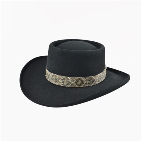 RONNIE VAN ZANT HAT