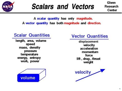 Work is Scalar or Vector - LinafinLeon