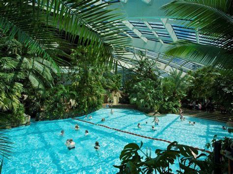 The Subtropical Swimming Paradise | Center parcs, Centre parks, Water park rides