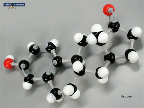 Estrone Molymod Model Kit, Assembled.