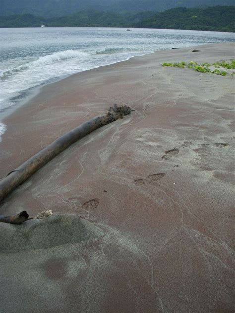 Geologic history written in garnet sand | news.myScience / news / news 2021