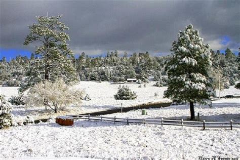 First snow of the season - Flagstaff, Arizona | Snowy pictures ...