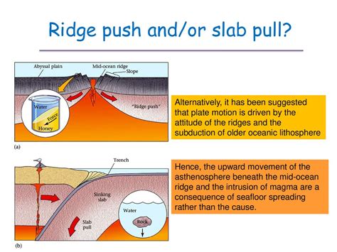 Plate Tectonics - ppt download