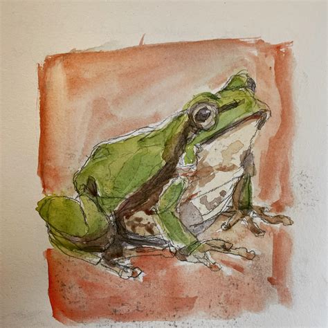 Just another frogettable frog : r/Watercolor