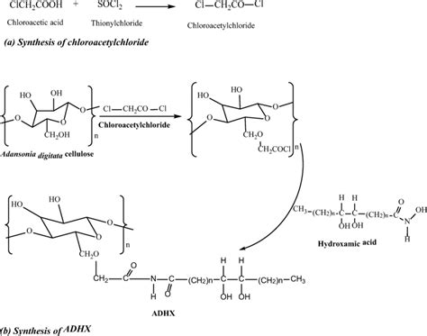 (a) Synthesis of chloroacetylchloride, (b) Synthesis of ADHX | Download ...