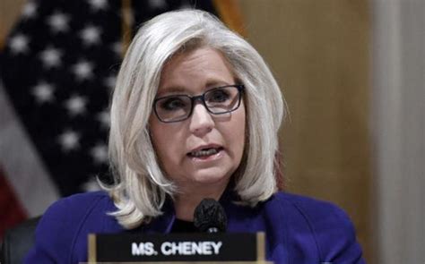 Liz Cheney claims Mike Johnson lied to Republicans about 2020 election ...