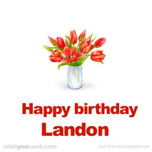 Happy Birthday Landon Free e-Cards