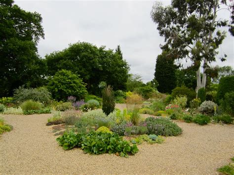 Beth Chatto Gravel Garden - a gallery on Flickr