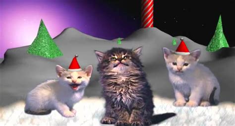 Jingle Cats Silent Night! - Land of Cats