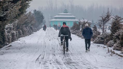 Fresh snowfall in Kashmir, weather to improve from Thursday afternoon ...