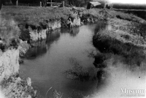 Earthquake damage on Read Island | Campbell River Museum - Islands ...