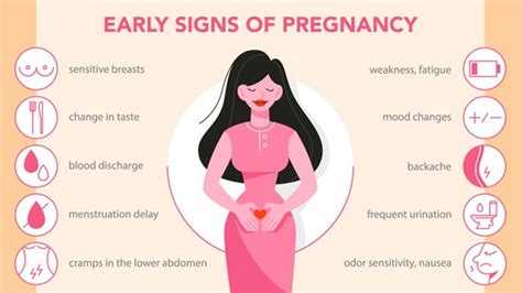 11 Early Pregnancy Signs and Symptoms Along With Care & Diet ...