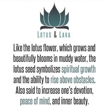 The Lotus Flower Meaning image result for unalome lotus flower meaning ...