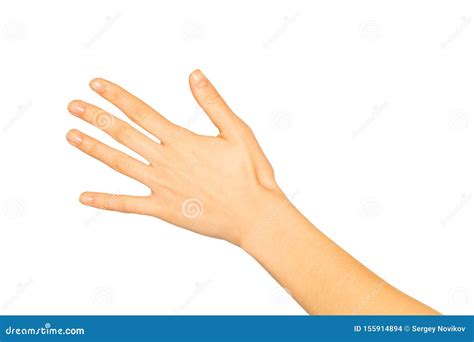 Close Up of Beautiful Woman`s Hand Back Side Stock Photo - Image of forefinger, back: 155914894