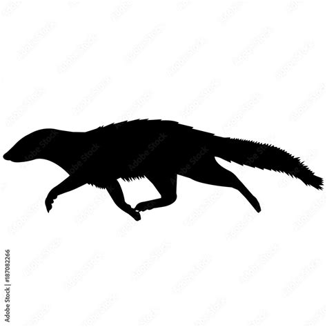 Mongoose Silhouette Vector Graphics Stock Vector | Adobe Stock