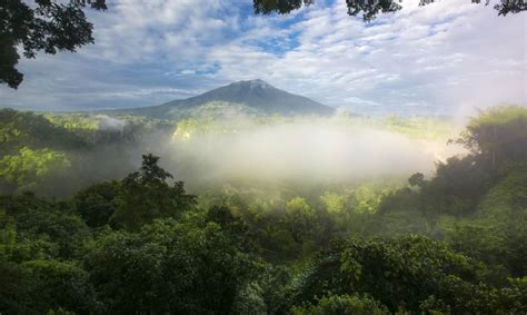 Taman Nasional Gunung Leuser, Destinasi Wisata Konservasi dengan Kekayaan Beragam Flora dan ...