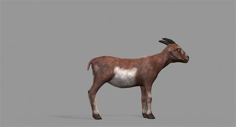 ArtStation - Goat | Game Assets