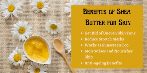 Shea Butter for Skin - 8 Benefits of Shea Butter for Face & Uses