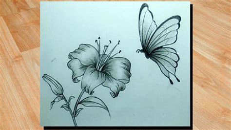 Butterfly Pencil Drawing