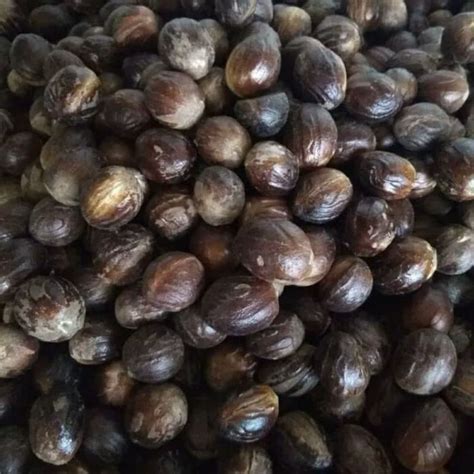 Jual biji pala 1 kg | Shopee Indonesia