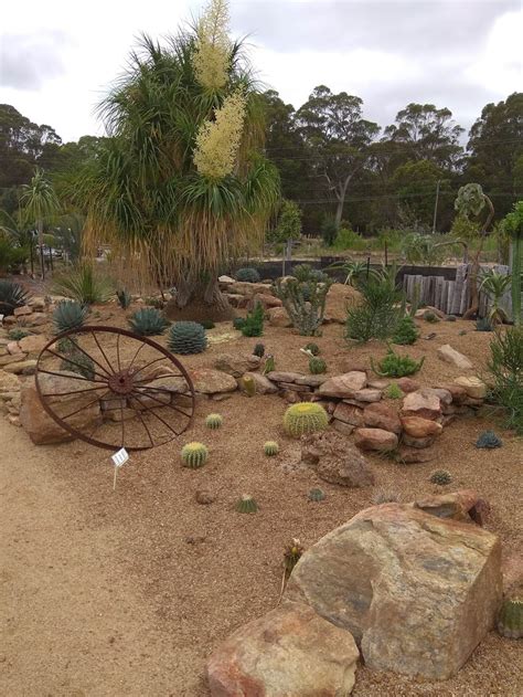 Karnup Nursery - Arid & Exotic Plants - 77 Fletcher Rd, Karnup WA 6176, Australia