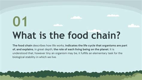 The Food Chain | Google Slides & PowerPoint