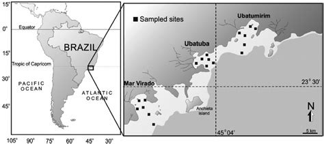 Map of the Ubatuba region indicates localities of collection. | Download Scientific Diagram