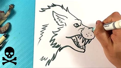 How to Draw WOLF GROWLING - YouTube