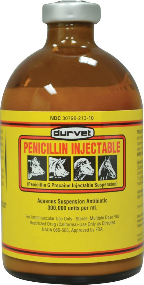 Can You Give Durvet Penicillin To Dogs