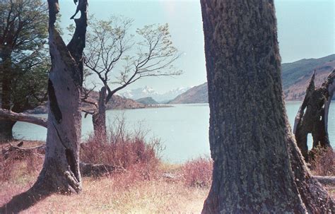 El Calafate / Argentinian landscapes 35mm :: Behance