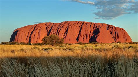 Uluru BBQ & Field of Light - Tourism Town - The Tourism Marketplace - Find and book authentic ...