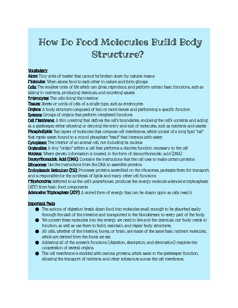 Ch. 3.1 Notes - How Do Food Molecules Build Body Structure? Vocabulary Atom: Tiny units of ...