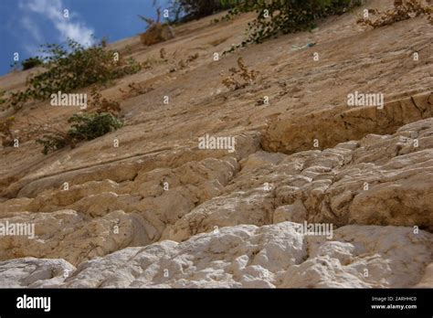 The Western Wall, Jerusalem Stock Photo - Alamy