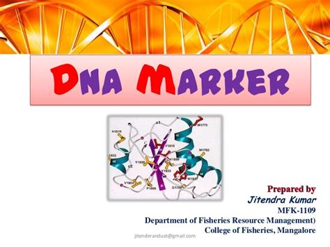 DNA Marker: