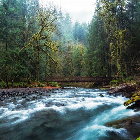 Wine & Waterfalls - A Weekend to Love on the Olympic Peninsula