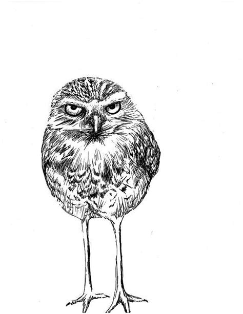 Burrowing Owl with Attitude Pen and Ink Print by henny2pence, $10.00 Black And White Owl, Black ...