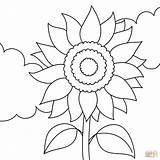 Sunflower coloring Page  Free Printable Coloring Pages sketch template