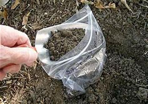 Soil Sample Bags (Pack of 100)