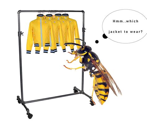 Latest Fashion Trend? Yellow Jackets. - How To Pest