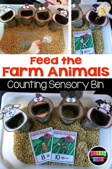 Farm Counting Activity - Farm Animals Sensory Bin - Farm Math Activity ...