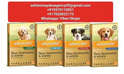 Advocate Medicine For Dog at Rs 1200/stripe | Dog Medicines in Nagpur ...