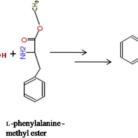 2 Aspartame synthesis. (For | Download Scientific Diagram