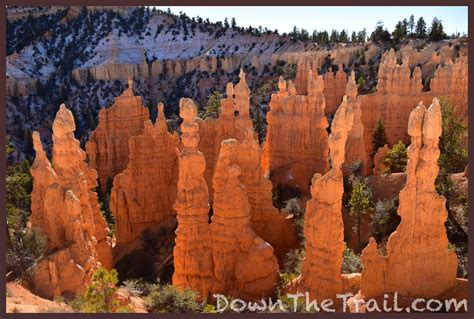 Hiking the Fairyland Loop Clockwise - Trail Map, Elevation - Bryce Canyon