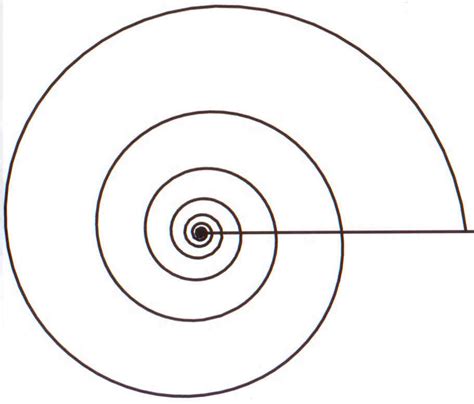 Spiral Line Drawing at GetDrawings | Free download