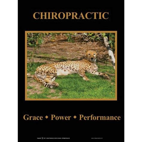 Cheetah Poster - Clinical Charts and Supplies