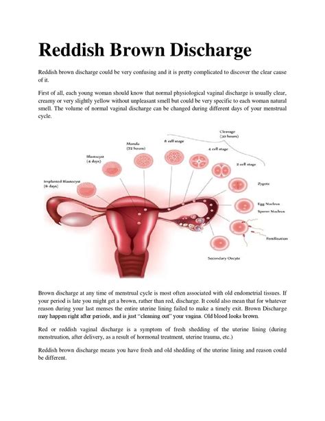 Reddish brown discharge by Brown Discharge - Issuu