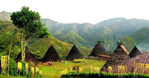 a group of huts sitting on top of a lush green hillside covered in ...